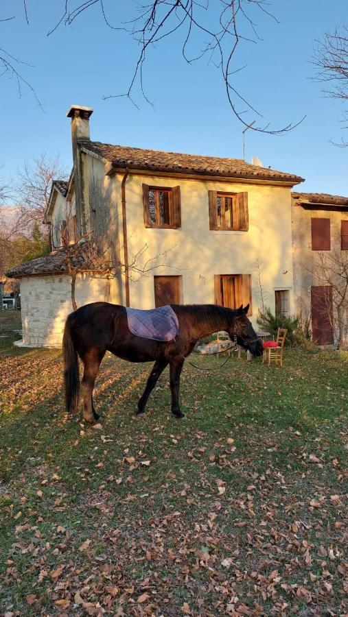 Вілла La Caneveta Al Piave Вальдобб'ядене Екстер'єр фото