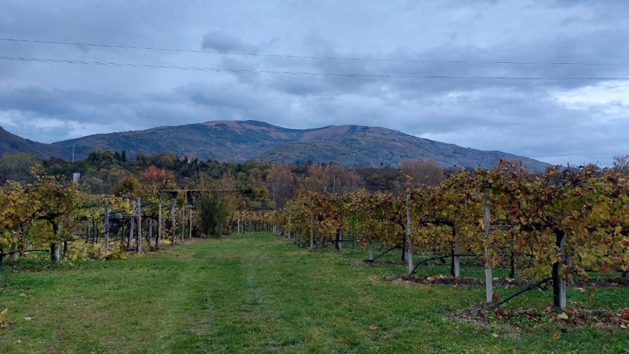 Вілла La Caneveta Al Piave Вальдобб'ядене Екстер'єр фото