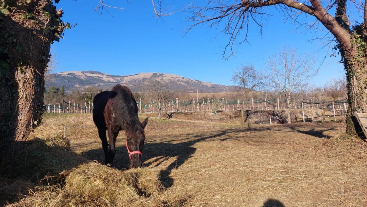 La Caneveta Al Piave Вальдобб'ядене Екстер'єр фото